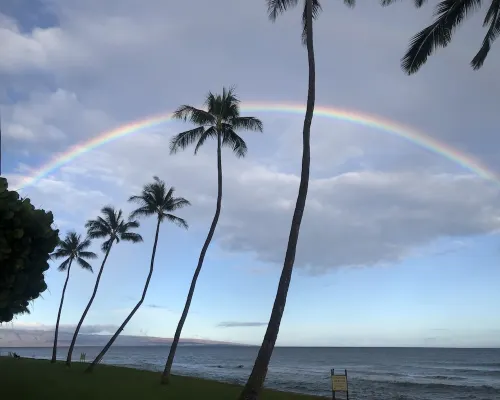 No Resort or Parking Fees! Relax in This Beautiful Ocean View Studio Condo!