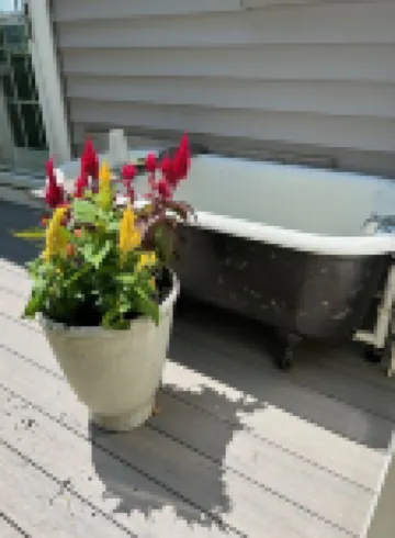Waterfront Cottage 5 minutes to Mount Wachusett, Dock, Pet Friendly, Kayaks