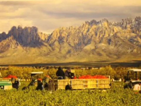 Billy the Kids getaway in heart of Historical Mesilla Plaza, N.M. โรงแรมในMesilla