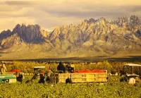 Billy the Kids getaway in heart of Historical Mesilla Plaza, N.M.