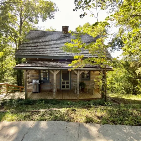 Luxury Log Cabin and 40 acres on Douglas Lake