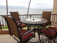 Super Luxury, Direct Oceanfront, 20 yards From Ocean, Whale Watchers Paradise