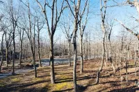 Majestic Mtn Cabin w Sunset View & Quick Hiking Access