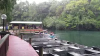 Chassahowitzka/Homossassa River Front With Two Kayaks - balcony
