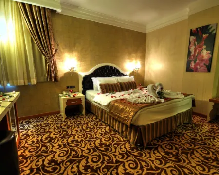 ゴールデン デラックス ホテル アダナのホテル