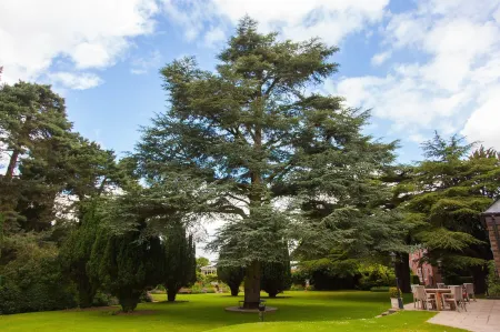 The Parsonage Hotel & Spa