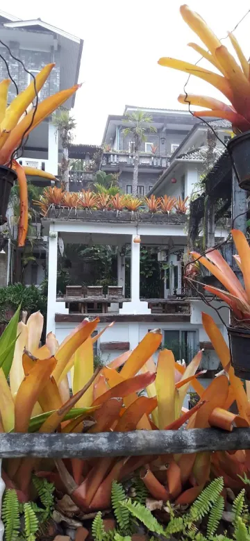 ห้องพัก(kazoo)