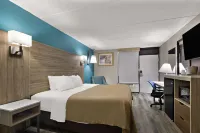 퀄리티 인 & 스위트 비달리아