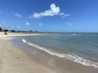플랏솔레마르