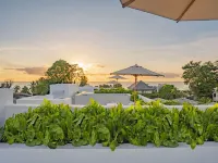 Palm Grove Villas & Hotel Hotels in Mount Standfast