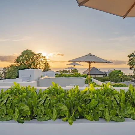 Palm Grove Villas & Hotel