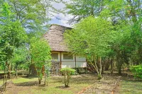 Ishasha Jungle Lodge Hotels near Kobil Center