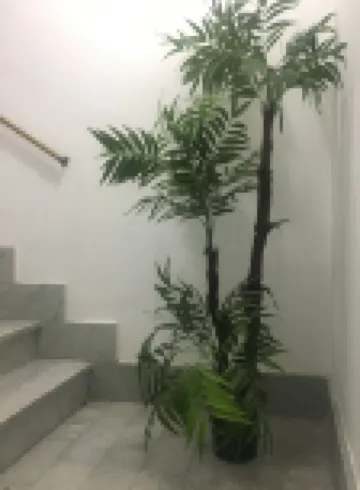 Affittacamere la Traversa