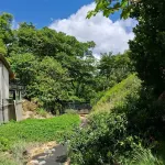 Cute Studio Apartment in Soufriere From Claviers Hotels near Têt Paul nature trail gift shop