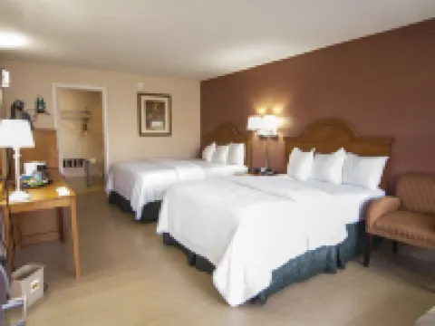 ラ コパ ホテル マッカレンのホテル