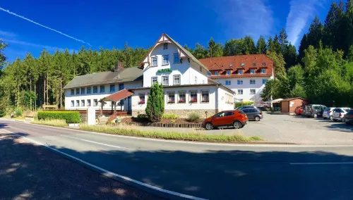 Hotel Rodebachmühle Hotel a Finsterbergen