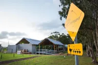 西恩納洛奇飯店