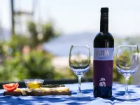 Apartments Olive Hotels in Mlini