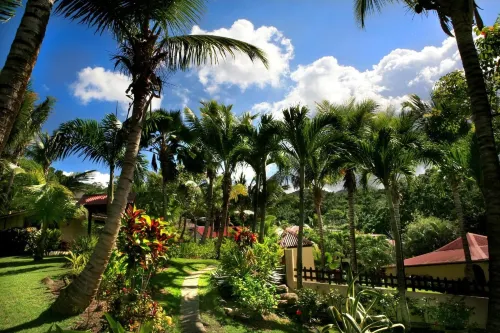 Résidence hotelière Habitation Grande Anse - Beach