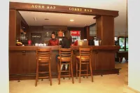 Winslow Infinity & Spa - bar