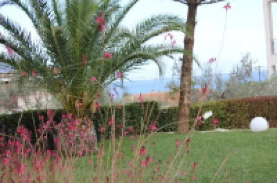 アパートメンツ バラスカ