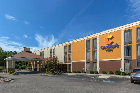 Comfort Inn Laurinburg Отели в г. Стюартсвилл
