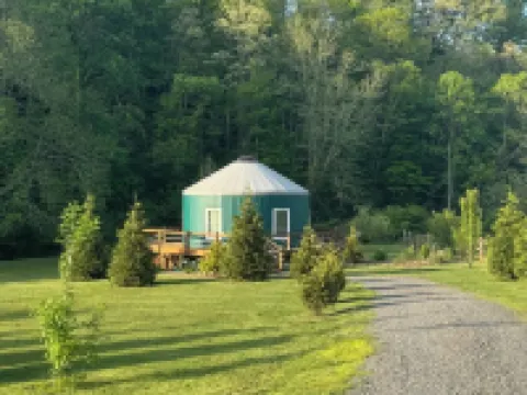 Magical Riverside Yurt, hot tub & the BRPW, pet friendly near Floyd, Va Hotels in Laurel Fork