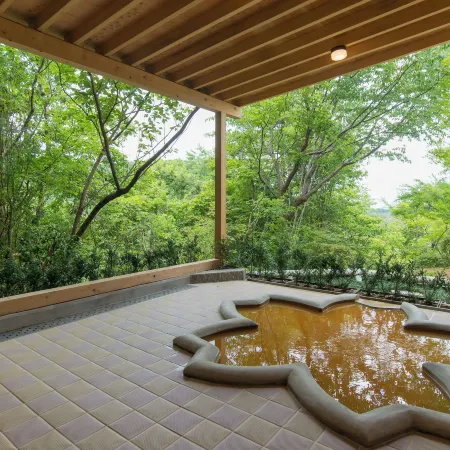 Arima Onsen Motoyu Ryuusenkaku