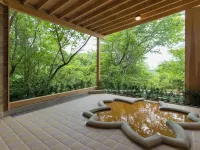 Arima Onsen Motoyu Ryuusenkaku - Hot Springs