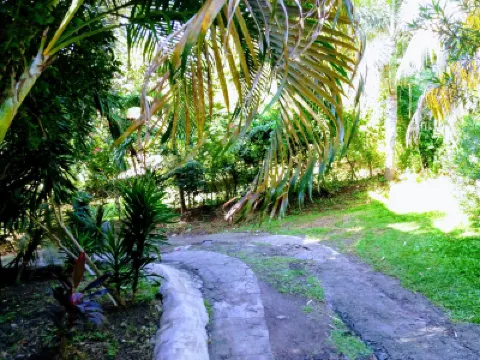 Condo Nautilo Hotels in 