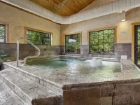 The Village at Indian Point Resort Hotels in Indian Point