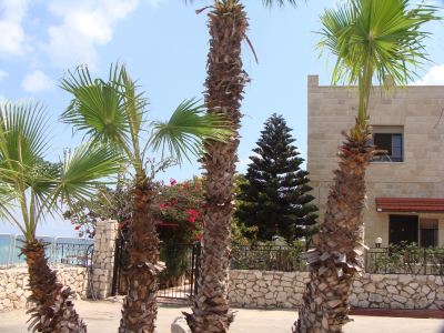 Tamer Guest House