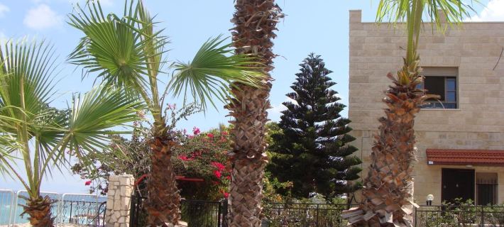 Tamer Guest House Hotels in Haifa