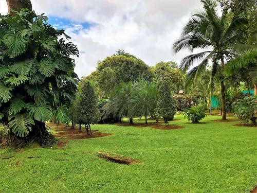 Casa Naranjito Hotels in Naranjito