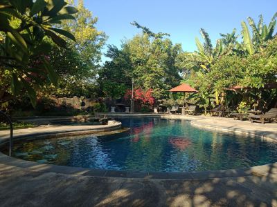 Rini Hotel