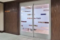 Austin Marriott North - Quầy bar