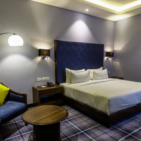 Hotel Piccadily Raipur