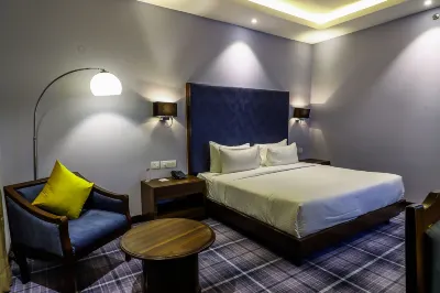 Hotel Piccadily Raipur Hotel a 