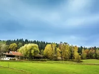 Ferienhaus in Konzell in Gartenn he