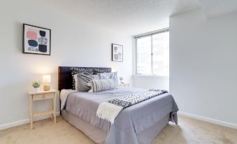 Bright Apartment Walk to Ballston Metro