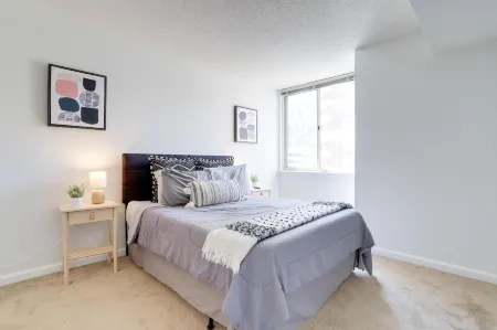 Bright Apartment Walk to Ballston Metro