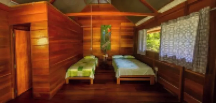 Quirquincho House Hotels in Tambopata