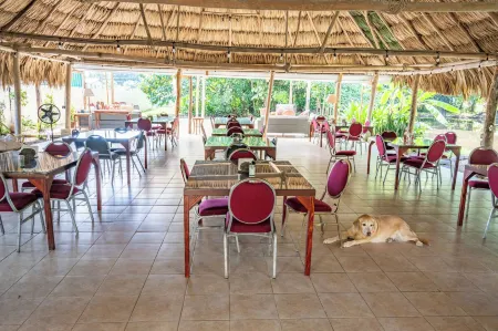 Drift Inn Cayo Отели в г. Санта Фэмилия Виллидж