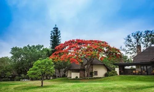 Sabi River Sun Resort