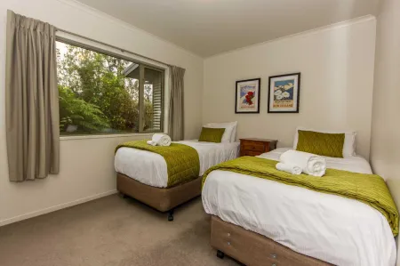 Franz Josef Treetops