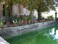 B&B Domaine le Clos du Pavillon "Authenticité et Ressourcement garantis"