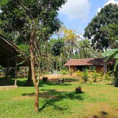 Ama Villa Homestay Hotel Exterior