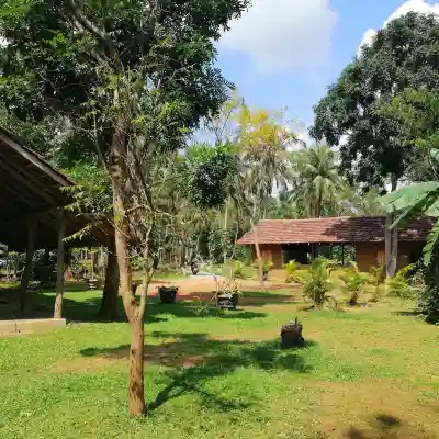 Ama Villa Homestay Hotel Exterior