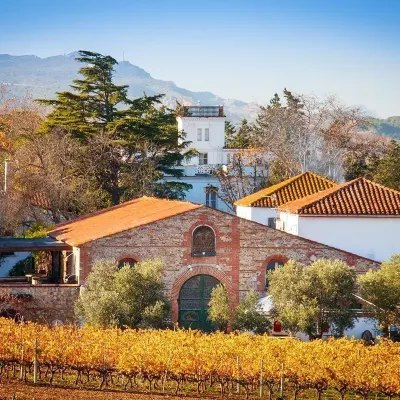 蒙蒂阿爾飯店 Centre de Sculpture Romane附近的飯店