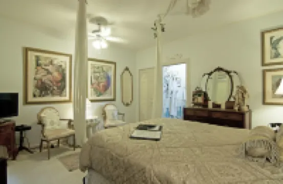 薩巴爾棕櫚樹住宿加早餐酒店